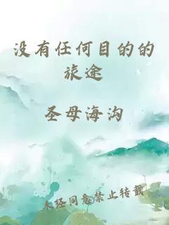 没有任何目的的旅途